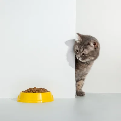 Organic Cat Food 100g