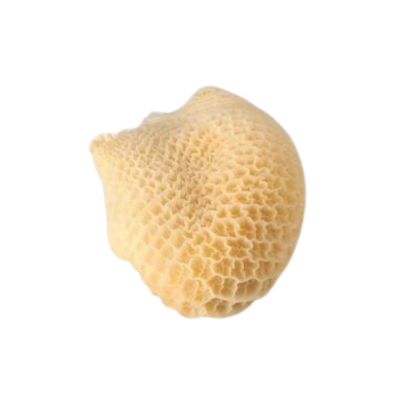 Honeycomb Tripe