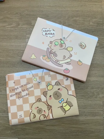 แฟ้มเก็บเอกสาร