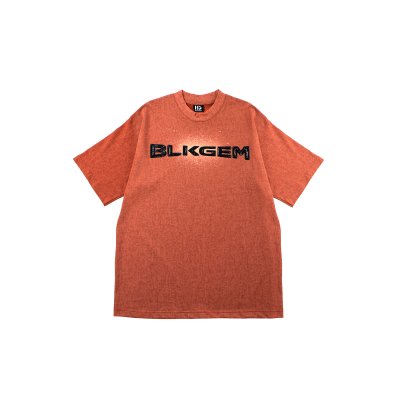 HW BRICK BLACK LOGO TEE - BRICK