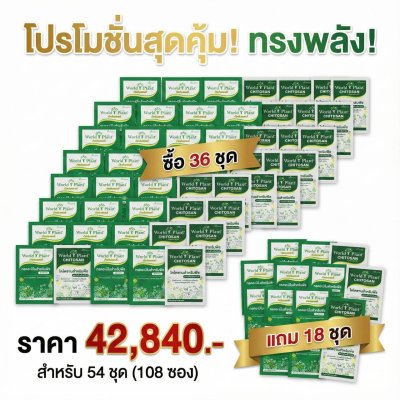 คู่หูเวิลด์แพลนท์ไคโตซาน และ กรดอะมิโน 36 ชุด แถม 18