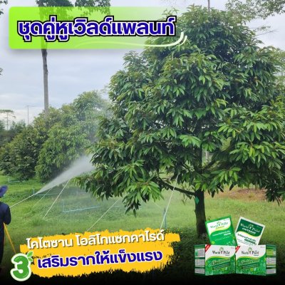 เวิลด์แพลนท์ไคโตซาน & กรดอะมิโน ซื้อ 2 ชุด แถมฟรี! 2 ชุด