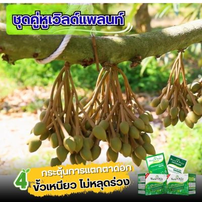 เวิลด์แพลนท์ไคโตซาน & กรดอะมิโน ซื้อ 2 ชุด แถมฟรี! 2 ชุด