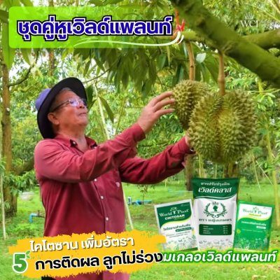 เวิลด์แพลนท์ไคโตซาน & กรดอะมิโน ซื้อ 2 ชุด แถมฟรี! 2 ชุด