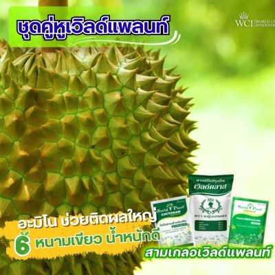 เวิลด์แพลนท์ไคโตซาน & กรดอะมิโน ซื้อ 2 ชุด แถมฟรี! 2 ชุด