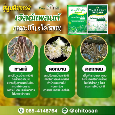 เวิลด์แพลนท์ไคโตซาน & กรดอะมิโน ซื้อ 2 ชุด แถมฟรี! 2 ชุด