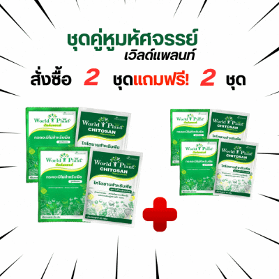 ชุดคู่หูเวิลด์แพลนท์ โปรโมชั่น 2 แถม 2 ชุด