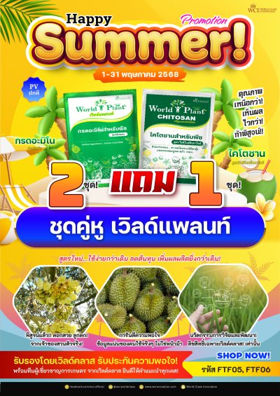 โปรโมชั่น Happy Summer ซื้อ 2 แถม 1