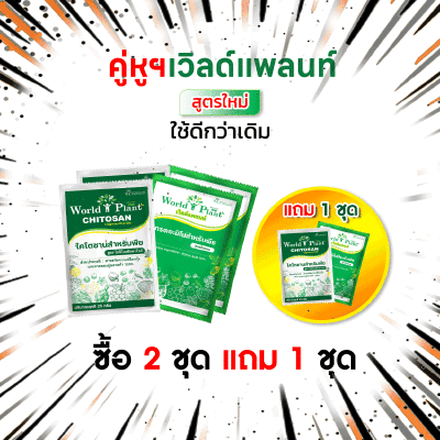 เวิลด์แพลนท์ ไคโตซาน และ เวิลด์แพลนท์กรดอะมิโน 2 ชุด แถม 1 ชุด