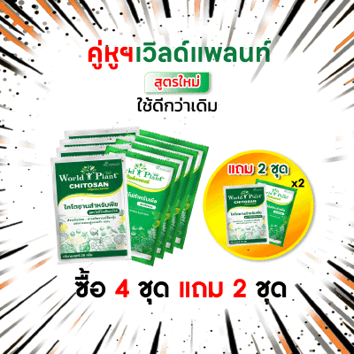 คู่หูเวิลด์แพลนท์ 4 ชุด แถม 2 ชุด