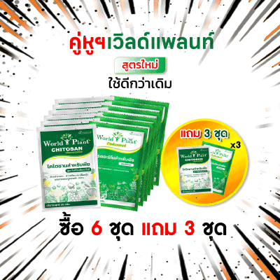 คู่หูเวิลด์แพลนท์ 6 ชุด แถม 3 ชุด