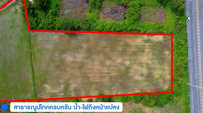 ที่ดิน (10-1-0 ไร่) / อ.เมือง-อ่างทอง