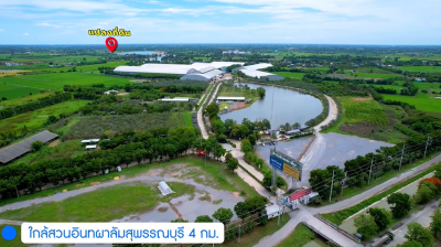 ที่ดิน (8 แปลง) / สามชุก-สุพรรณบุรี