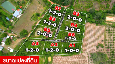 ที่ดิน (9 แปลง) / พนมสารคาม-ฉะเชิงเทรา