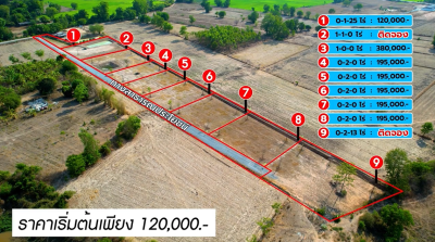 ที่ดิน (9 แปลง) / หนองหญ้าไซ-สุพรรณบุรี