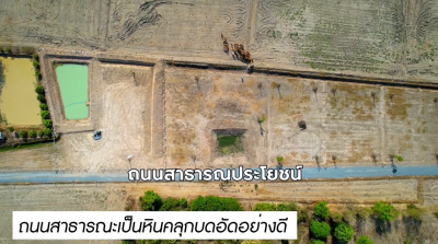 ที่ดิน (9 แปลง) / หนองหญ้าไซ-สุพรรณบุรี