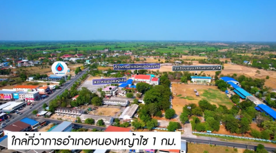 ที่ดิน (9 แปลง) / หนองหญ้าไซ-สุพรรณบุรี