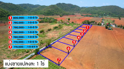 ที่ดิน (13 แปลง) / พัฒนานิคม-ลพบุรี