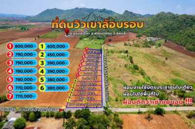 ที่ดิน (13 แปลง) / พัฒนานิคม-ลพบุรี