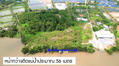 ที่ดิน (15-3-57 ไร่) / บ้านโพธิ์-ฉะเชิงเทรา