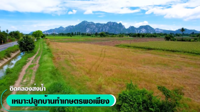 ที่ดิน (7 แปลง) / พระพุทธบาท-สระบุรี