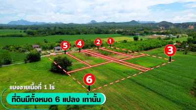 ที่ดิน (6 แปลง) / เฉลิมพระเกียรติ-สระบุรี