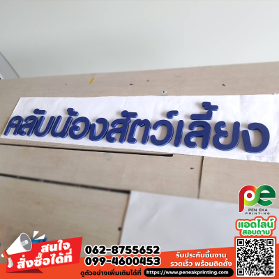 งานพลาสวู้ด