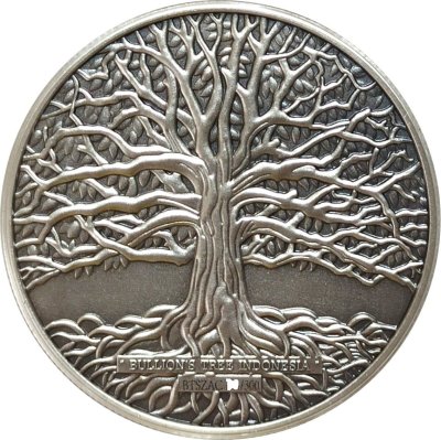 Sheikh Zayed Grand Mosque - Solo Antique Coloured Silver 1 oz - Limited