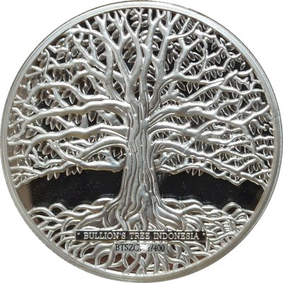 Sheikh Zayed Grand Mosque - Solo Holographic Coloured Silver 1 oz