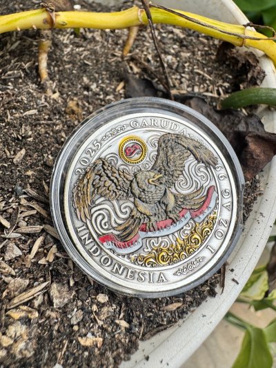 2025 Garuda Indonesia 80 Silver Bullionspot 1 oz Limited Edition