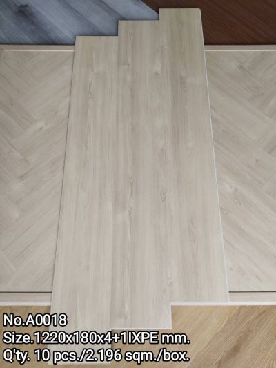 A0018