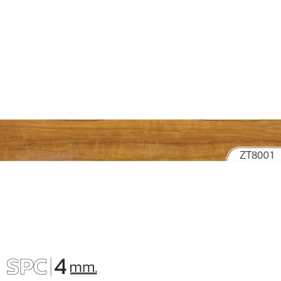 ZT8001