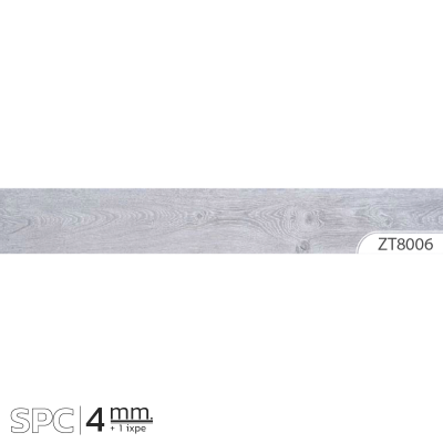 ZT8006