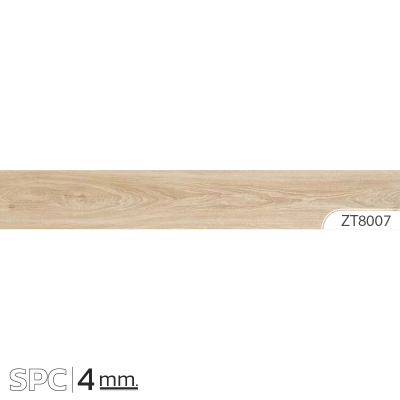 ZT8007