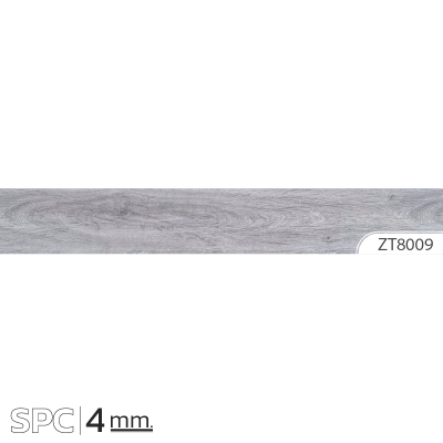 ZT8009