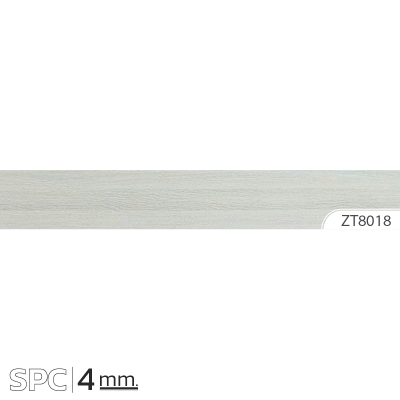 ZT8018