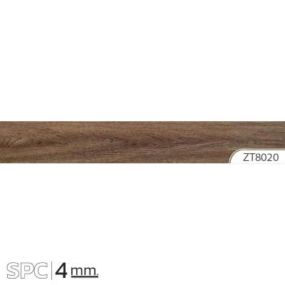 ZT8020