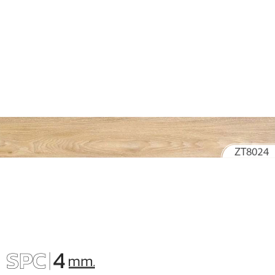 ZT8024