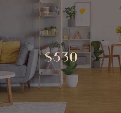 S530