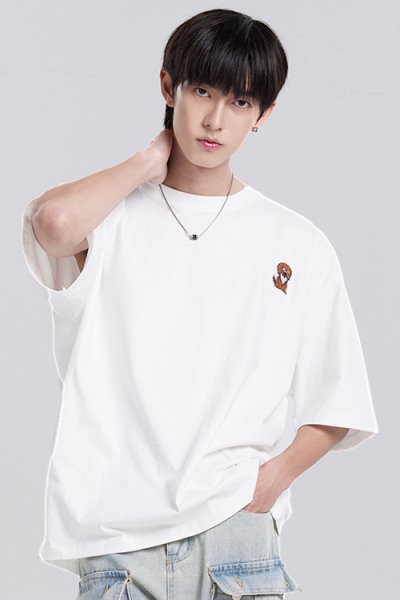 TS-HPG-WH