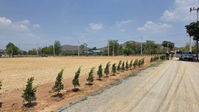 ที่โฉนด วิวภูเขาล้อม อ.โพธาราม จ.ราชบุรี