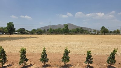 ที่โฉนด วิวภูเขาล้อม เหมาะกับคนชอบธรรม 1 ไร่ 850,000.-