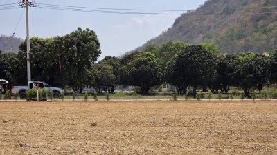 ที่โฉนด วิวภูเขาล้อม อ.โพธาราม จ.ราชบุรี