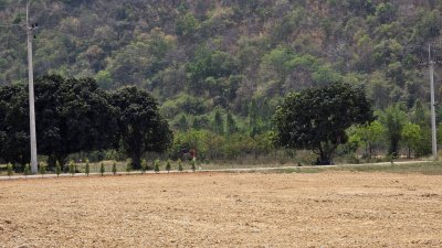 ที่โฉนด วิวภูเขาล้อม อ.โพธาราม จ.ราชบุรี