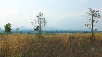 ขายที่ดิน โลเคชั่นทะเลหมอก แบ่งขาย 10 ไร่ขั้นต่ำ