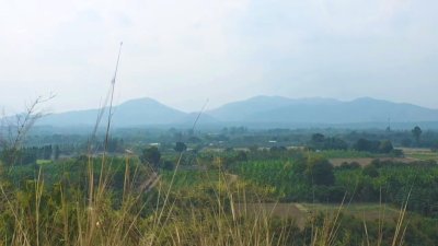 ขายที่ดิน โลเคชั่นทะเลหมอก แบ่งขาย 10 ไร่ขั้นต่ำ