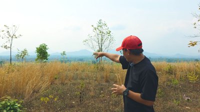 ขายที่ดิน โลเคชั่นทะเลหมอก แบ่งขาย 10 ไร่ขั้นต่ำ