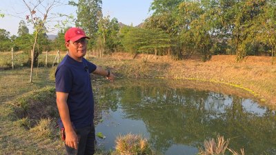 ท้ายติดห้วย หน้าติดถนนคอนกรีต มีสระน้ำออก 1 ลูก เลี้ยงปลา ใช้น้ำทำสวนได้