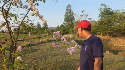 ท้ายติดห้วย หน้าติดถนนคอนกรีต มีสระน้ำออก 1 ลูก เลี้ยงปลา ใช้น้ำทำสวนได้