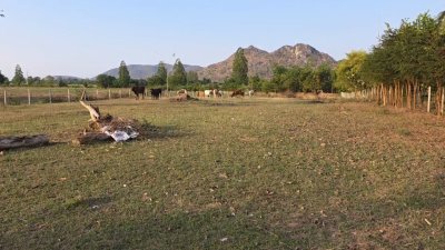 ท้ายติดห้วย หน้าติดถนนคอนกรีต มีสระน้ำออก 1 ลูก เลี้ยงปลา ใช้น้ำทำสวนได้